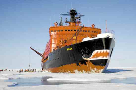 082e5f135b5812313af319