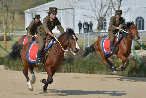 600x450_9C6DVR0P00AO0001